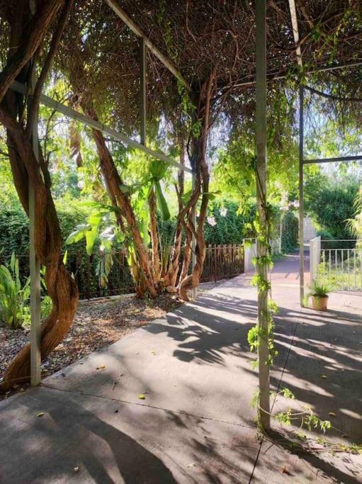 Amazing By The Fair Apartamento Valencia